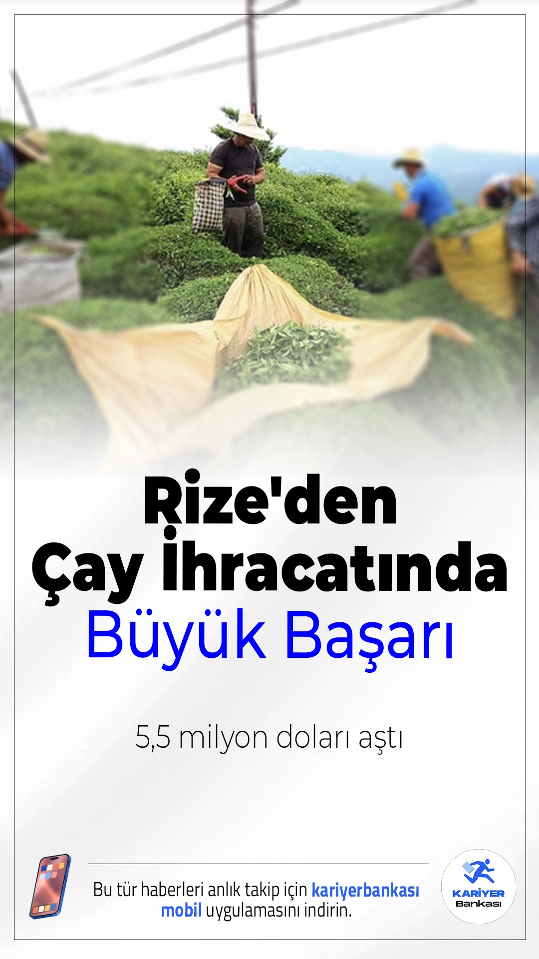 Rize'den Çay İhracatında Büyük Başarı: 5,5 Milyon Doları Aştı.Rize'den 2025'in ilk dört ayında yapılan çay ihracatı, 21 ülkeye ulaştı ve 5,5 milyon doları geçerek Türk çayının küresel ilgisini ortaya koydu.