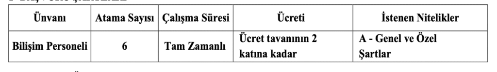 Anadolu Üniversitesi personel alımı