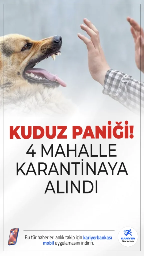 Hatay'da Kuduz Alarmı: 4 Mahalle Karantinaya Alındı.Hatay'ın Samandağ ilçesinde sahipsiz bir köpekte kuduz tespit edilmesi sonrası 4 mahallede karantina uygulaması başlatıldı.