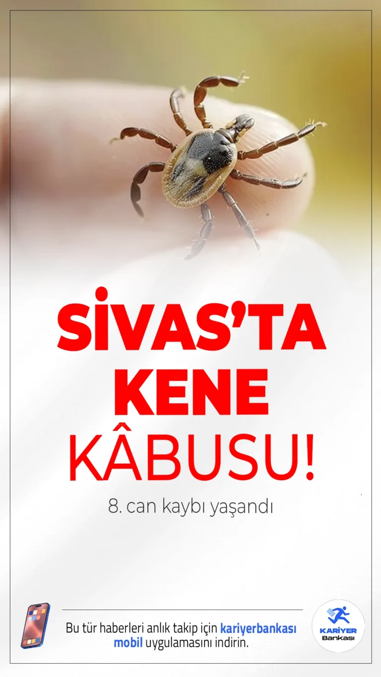 Sivas’ta Kene Kabusu: 8. Can Kaybı Yaşandı.Sivas’ın Gölova ilçesinde 67 yaşındaki bir kadın, kene ısırması sonucu hayatını kaybetti. Kentte bu yıl kene kaynaklı can kaybı sayısı 8’e ulaştı.