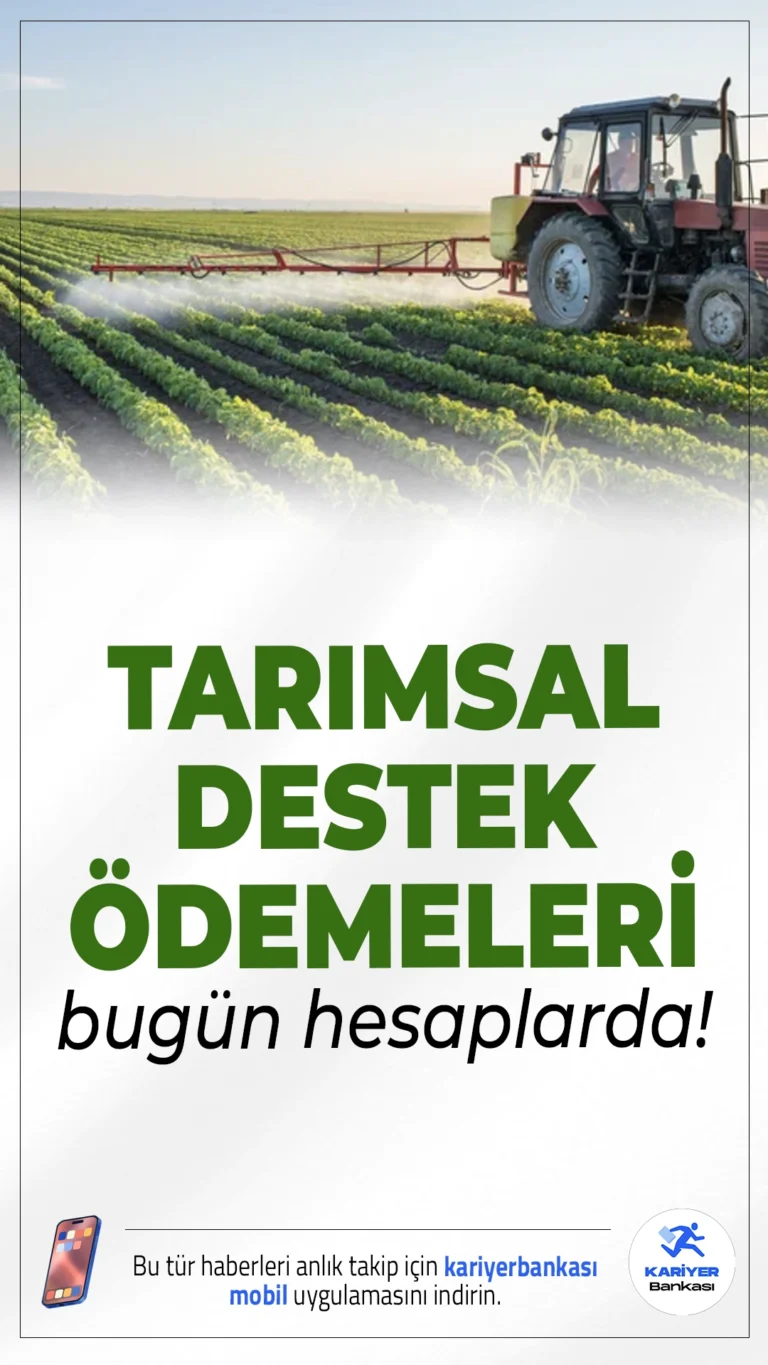 Çiftçilere 5,5 Milyar Liralık Destek Ödemesi Bugün Hesaplarda!Tarım ve Orman Bakanlığı, çiftçilere toplam 5 milyar 519 milyon liralık destek ödemesini bugün itibarıyla hesaplara aktarıyor.