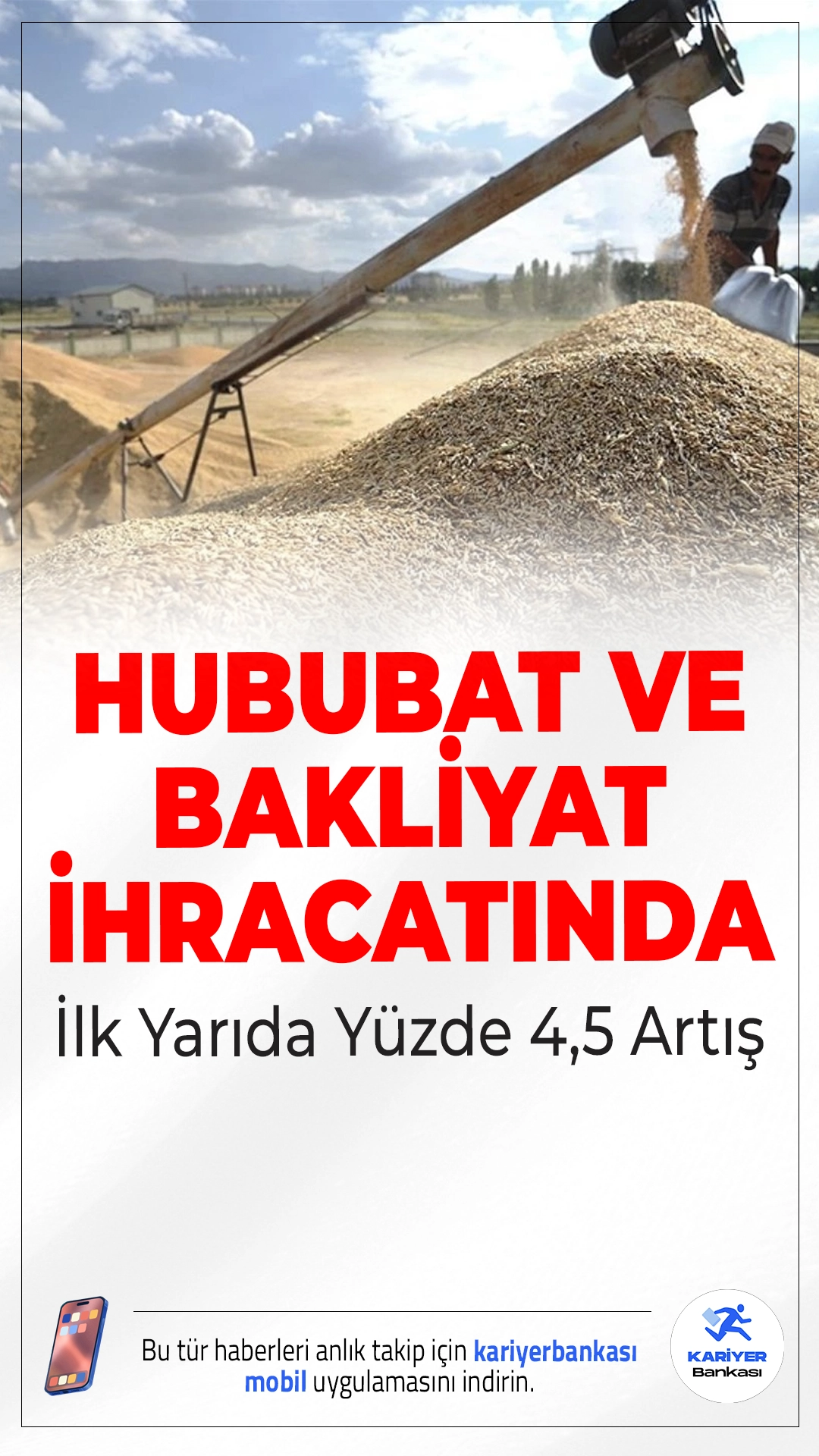 Hububat ve Bakliyat İhracatında İlk Yarıda Yüzde 4,5 Artış.Yılın ilk 6 ayında Türkiye’den 214 ülkeye yapılan hububat ve bakliyat ihracatı 6 milyar doları aşarak geçen yıla göre yüzde 4,5 büyüdü.