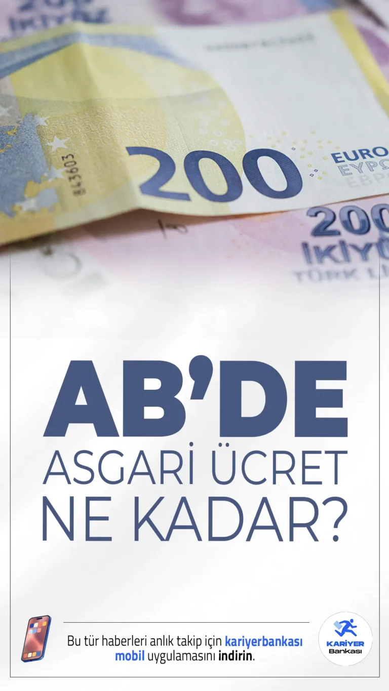 AB Ülkelerinde Asgari Ücret Ne Kadar Oldu?