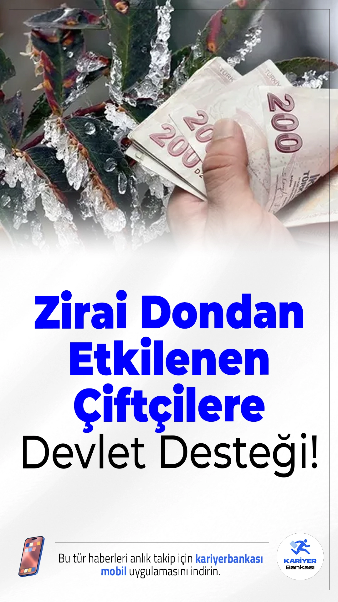 Zirai Dondan Etkilenen Çiftçilere Devlet Desteği!Şubat, mart ve nisan aylarında yaşanan zirai don nedeniyle ürünleri zarar gören çiftçilere 65 ilde destekleme ödemesi yapılacak.