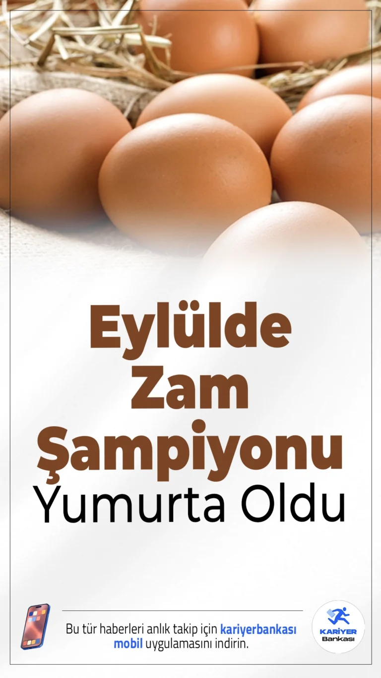 Eylülde Zam Şampiyonu Yumurta Oldu.Eylül ayında en çok zamlanan gıda ürünü yüzde 20’ye yakın artışla yumurta oldu. Tavuk eti ve taze balık da zam listesinde üst sıralarda yer aldı.