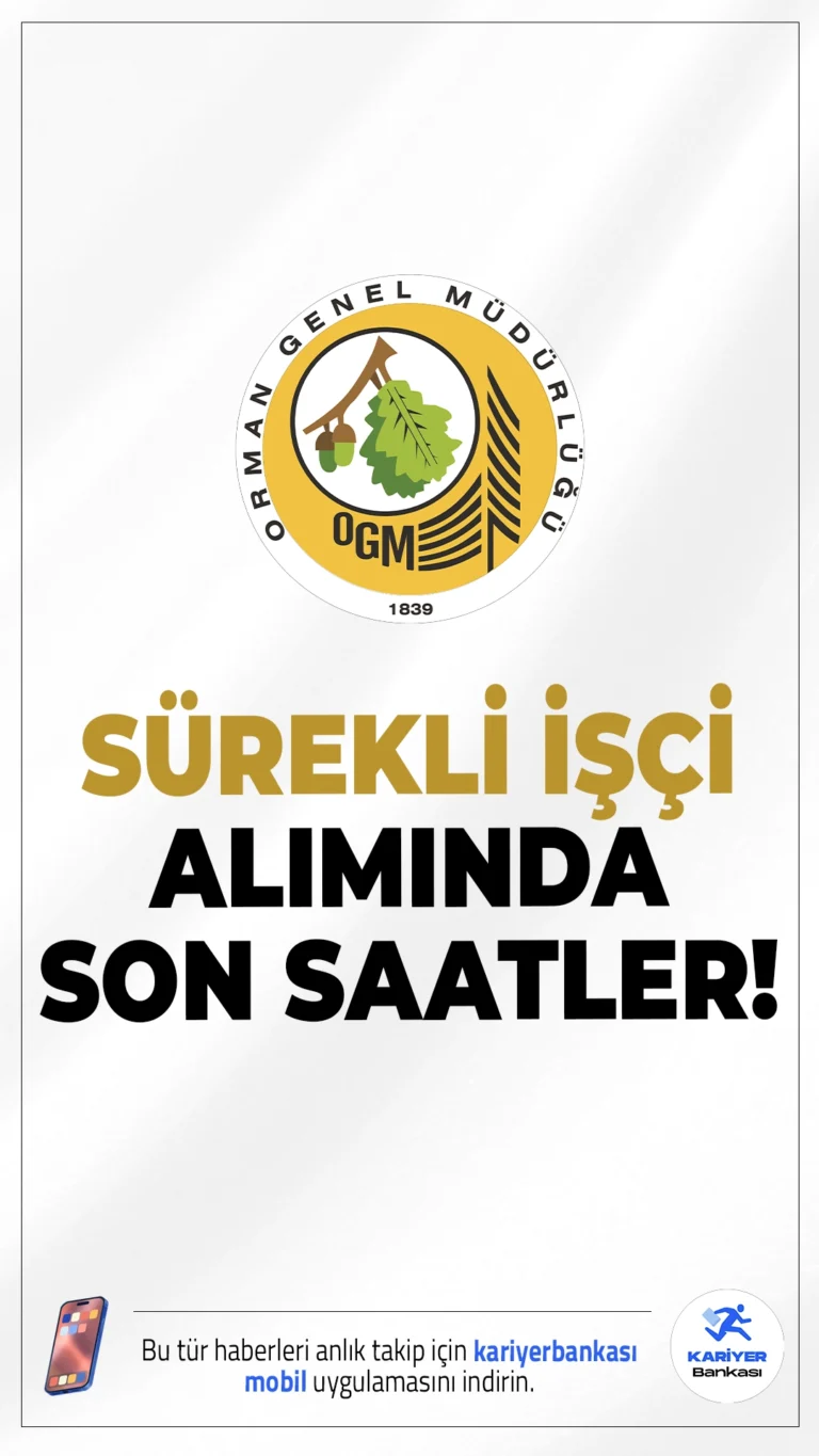 Orman Genel Müdürlüğü (OGM) 262 İşçi Alımında Son Saatler!İlgili alım duyurusunda, OGM taşra teşkilatlarında istihdam edilmek üzere 162 engelli ve 100 eski hükümlü/TMY statüsünde olmak üzere 262 daimi işçi alımı yapılacağı aktarılırken, başvuruların bugün (3 Ekim 2025) sona ereceği kaydedildi.Başvuru şartları ve tüm detaylar bu haberimizde.