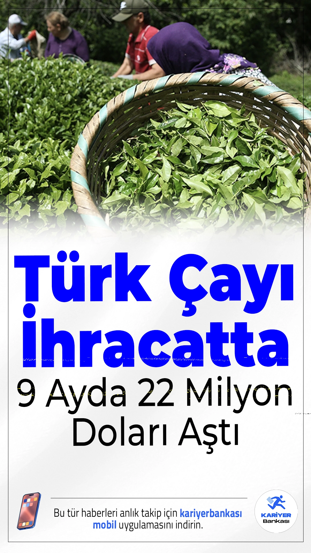 Türk Çayı İhracatta 9 Ayda 22 Milyon Doları Aştı.Dünyada üzerine kar yağan tek çay olma özelliğine sahip Türk çayı, 2024’ün ilk 9 ayında 112 ülkeye ihraç edilerek 22 milyon doların üzerinde gelir sağladı.