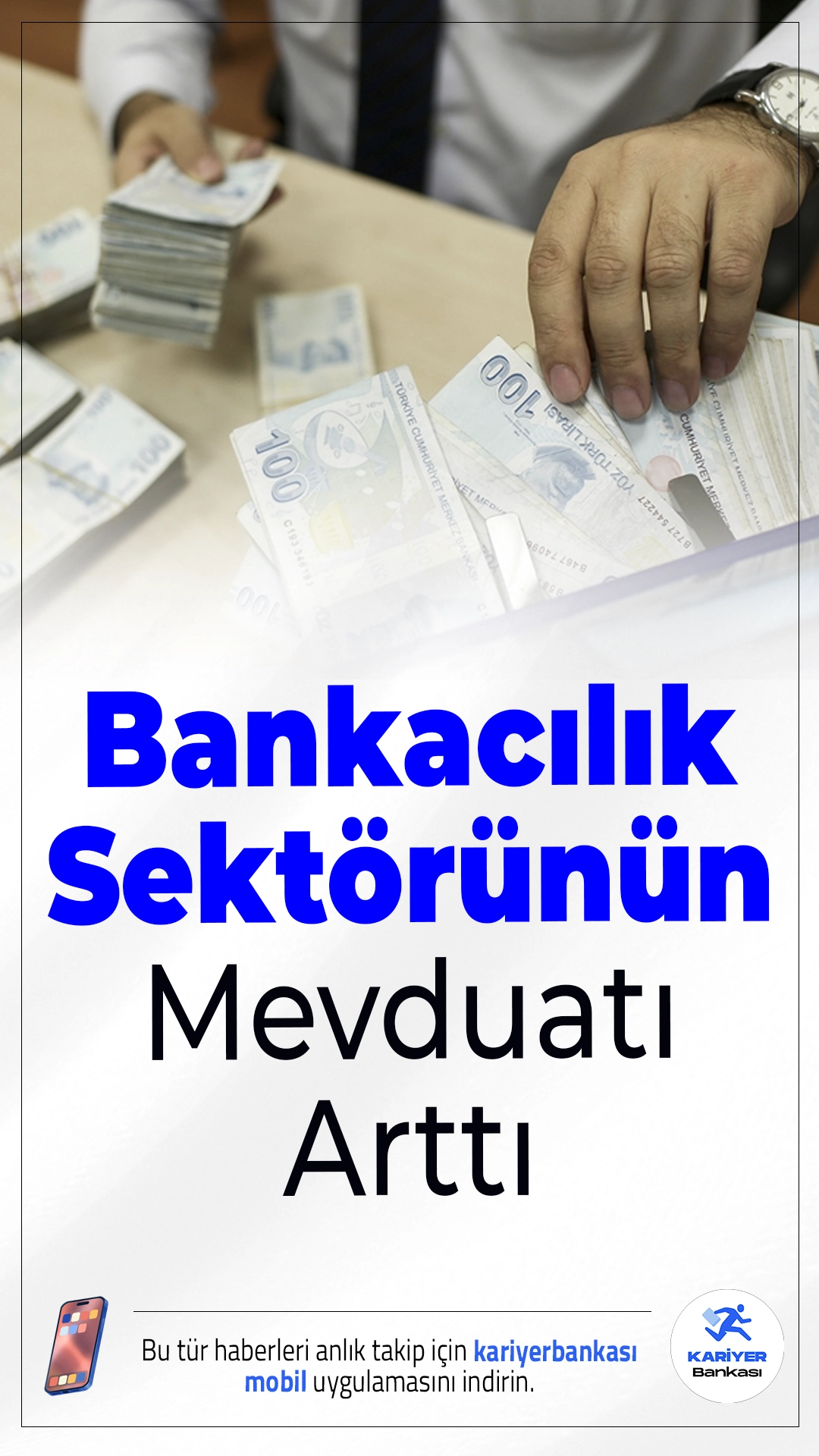 Bankacılık Sektörünün Mevduatı Arttı.TL ve döviz mevduatlarında yaşanan artış, sektördeki büyümeyi destekliyor.