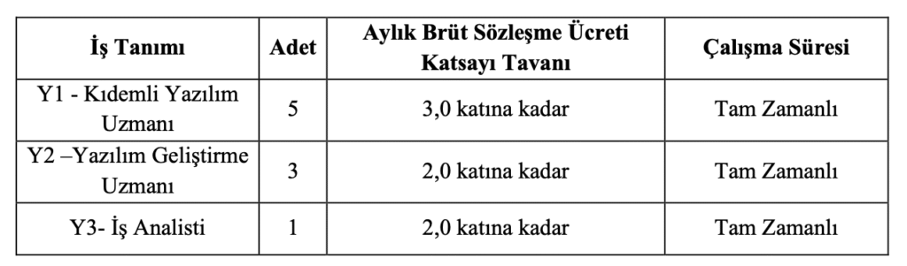 İzmir Kâtip Çelebi Üniversitesi personel alımı