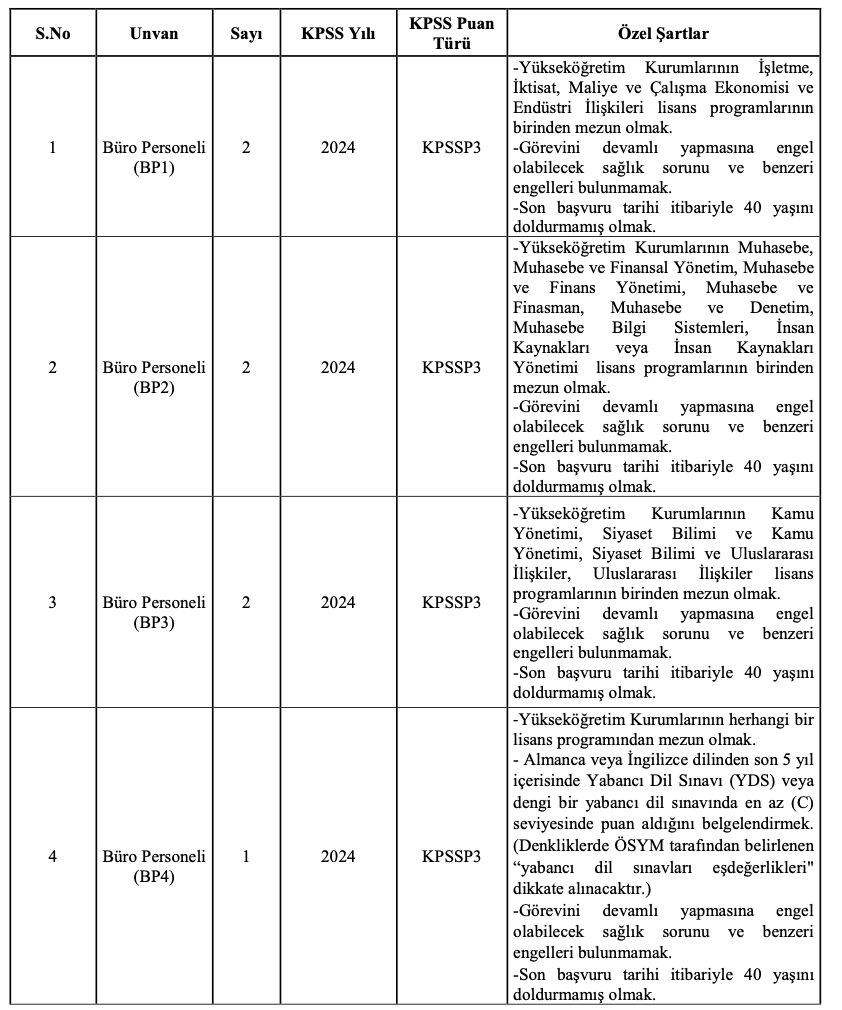 Türk-Alman Üniversitesi personel alımı