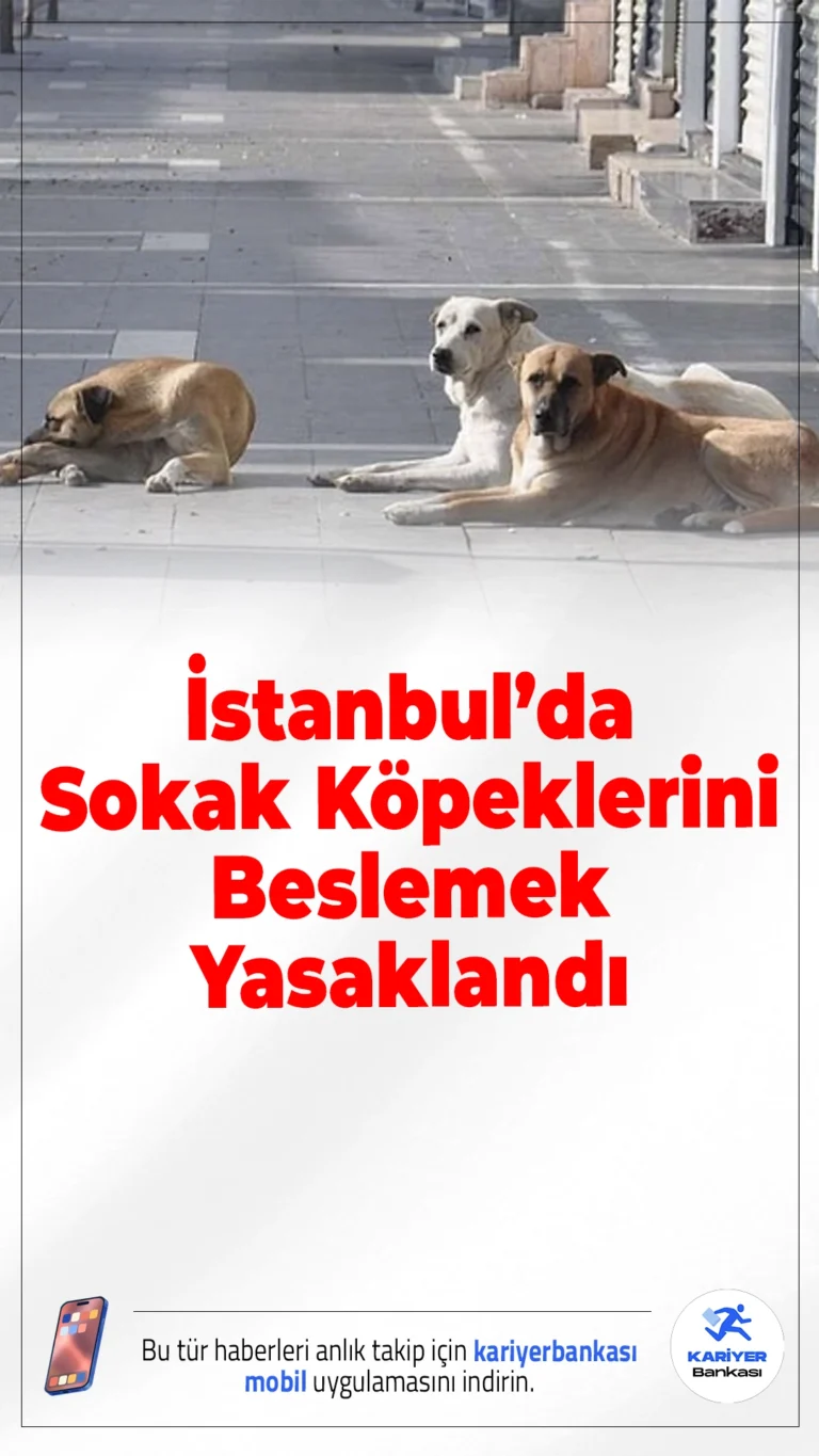 İstanbul Valiliği Duyurdu: Sokak Köpeklerini Beslemek Yasaklandı.İstanbul’da sokak köpeklerini kontrolsüz şekilde beslemek artık yasak. İstanbul Valiliği, yayımladığı yeni genelgeyle belirli alanlarda sahipsiz köpeklerin beslenmesine izin verilmeyeceğini duyurdu.