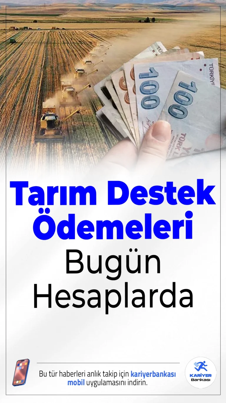 Tarım Destek Ödemeleri Bugün Hesaplarda.Tarım ve Orman Bakanı İbrahim Yumaklı, toplam 711 milyon 848 bin TL'lik tarımsal destekleme ödemesinin bugün çiftçilerin hesaplarına yatırılacağını açıkladı.