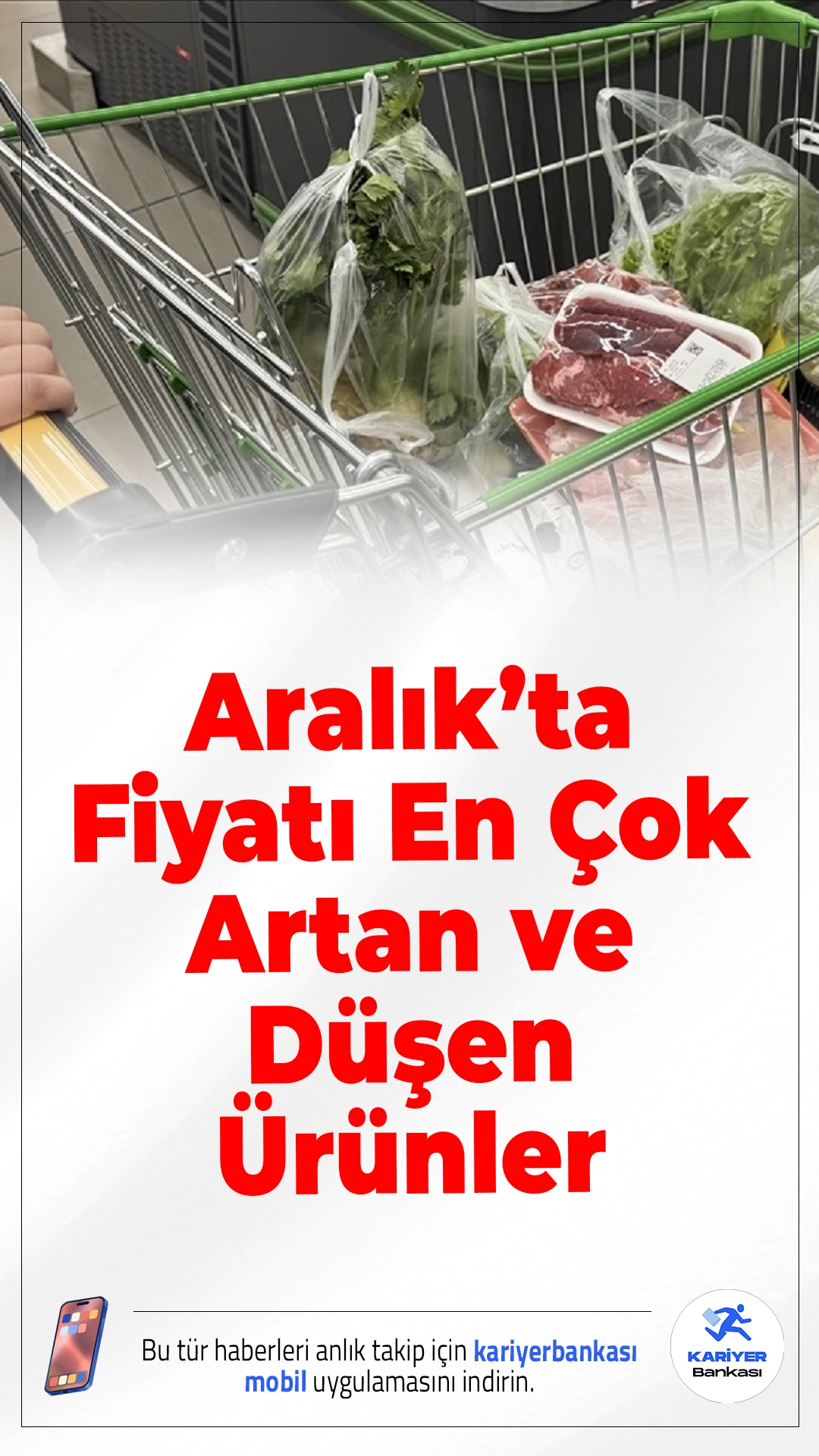 Aralık 2025'te Fiyatı En Çok Artan ve Düşen Ürünler Açıklandı.TÜİK'in yayımladığı enflasyon verilerine göre Aralık 2025'te fiyatı en çok artan ürün taze balık olurken, en fazla düşüş hava yolu yolcu taşımacılığında yaşandı. İşte detaylar…
