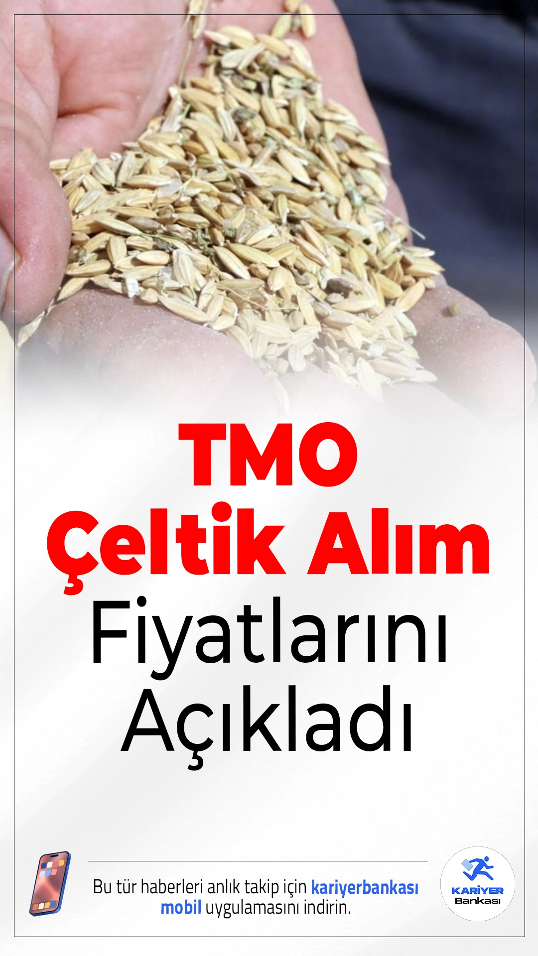 TMO, Çeltik Alım Fiyatlarını Açıkladı.Toprak Mahsulleri Ofisi (TMO), 2026 yılı için çeltik alım fiyatlarını belirledi. Üretici lehine seyreden piyasa koşullarının ardından alınan kararlar doğrultusunda açıklanan fiyatlar şöyle: