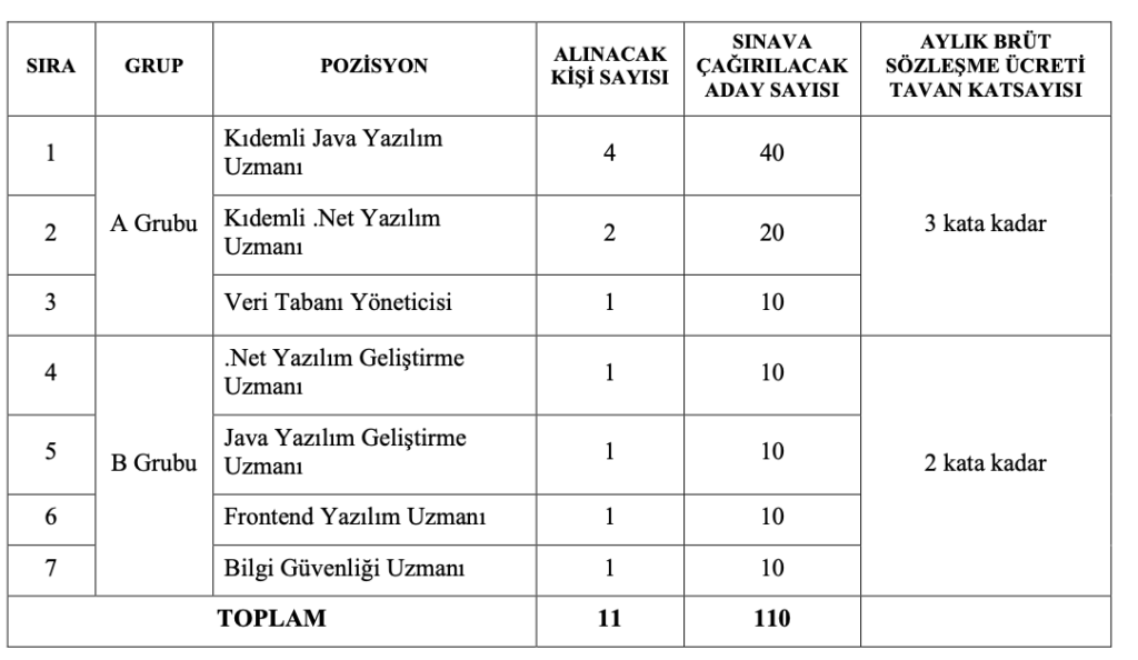 Çalışma Bakanlığı 11 Personel Alımı 