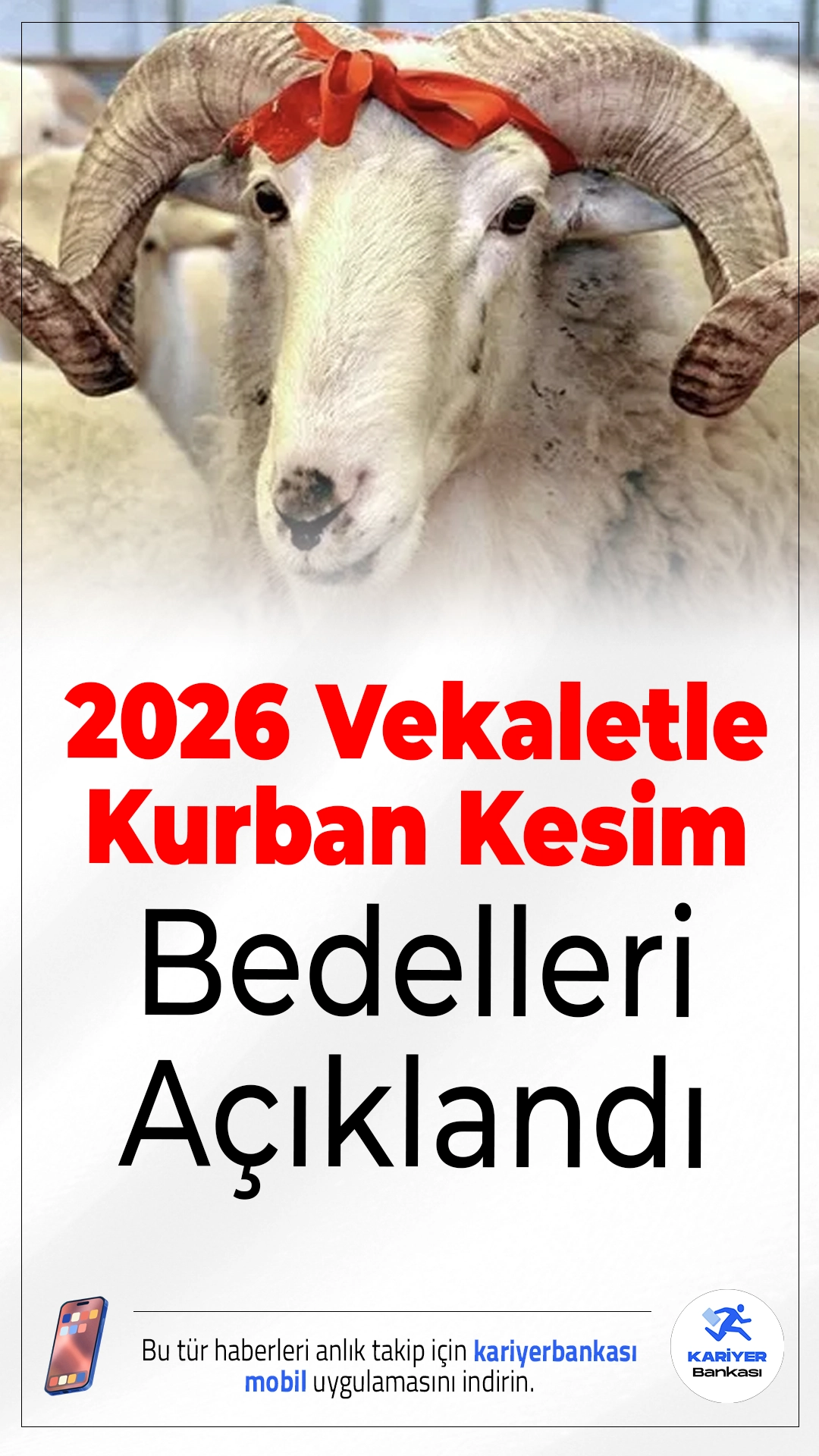 2026 Vekaletle Kurban Kesim Bedelleri Açıklandı.Diyanet, vekaletle kurban kesim bedellerini duyurdu; 2026 yılı için fiyatlar netleşti.