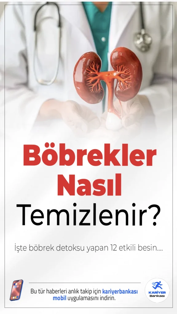 Böbrekler Nasıl Temizlenir? İşte Böbrek Detoksu Yapan 12 Etkili Besin...Böbrek sağlığını korumak için doğru beslenme büyük önem taşıyor. İşte böbrekleri destekleyen ve doğal detoks etkisi sunan besinler.