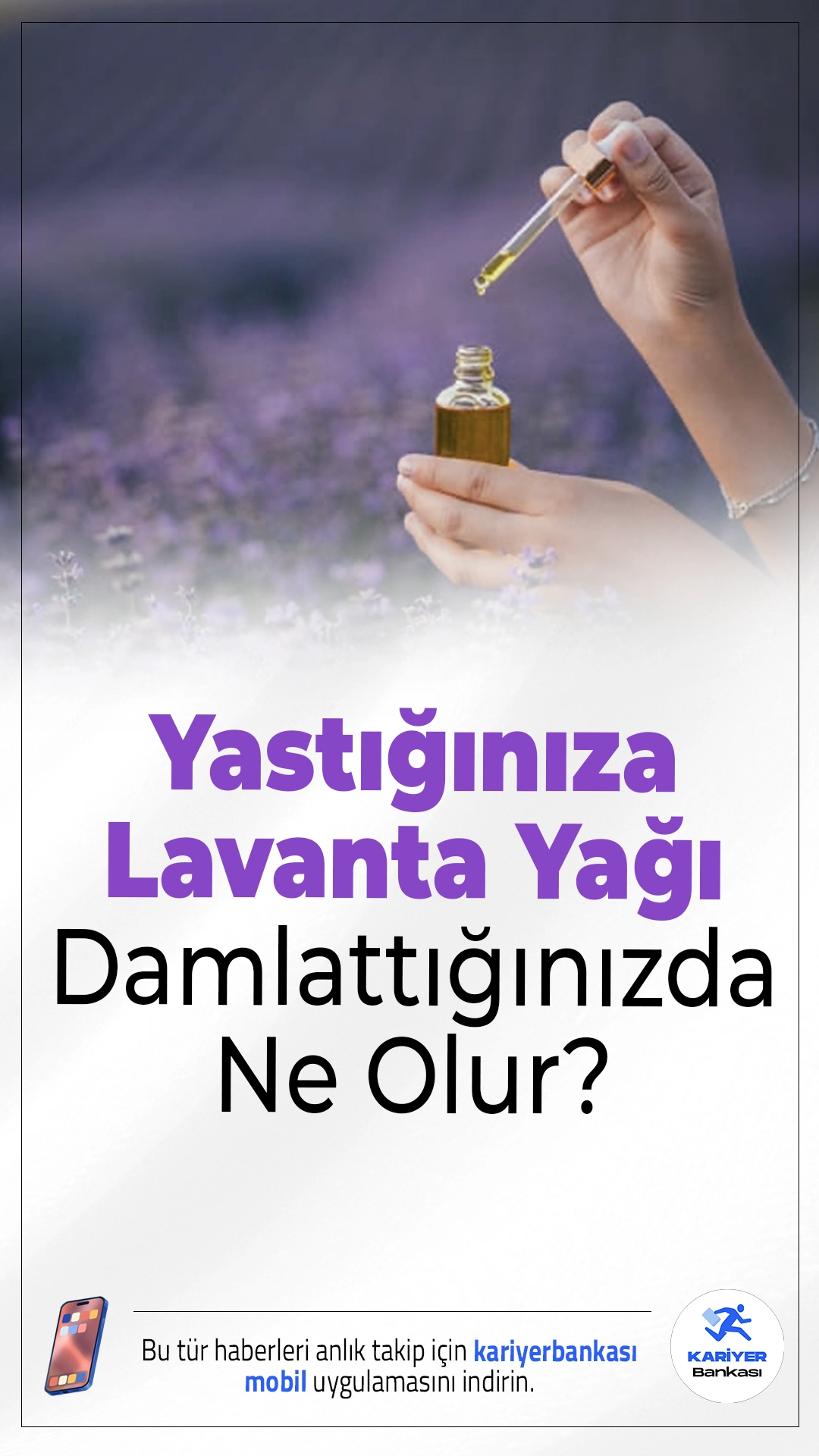 Yastığınıza 1 Damla Lavanta Yağı Damlatın: Daha Kaliteli Uyku ve Zinde Bir Sabah.Lavanta yağıyla uyku kalitesini artırmak mümkün; doğru kullanımda rahatlama sağlarken abartılı beklentilerden kaçınılmalı.