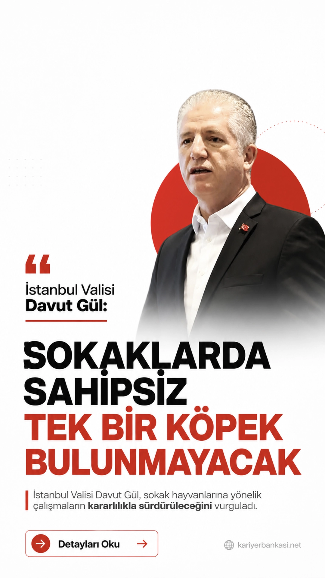 İstanbul Valisi Davut Gül: Sokaklarda Sahipsiz Tek Bir Köpek Bulunmayacak.İstanbul Valisi Davut Gül, sahipsiz hayvanlara ilişkin yaptığı açıklamada, kent genelinde yürütülen çalışmaların devam edeceğini belirterek “Sokaklarda sahipsiz tek bir köpek bulunmayacaktır” ifadelerini kullandı. Gül, sahipsiz hayvanların kontrol altına alınmasının bir tercih değil, açık bir zorunluluk olduğunu vurguladı.
